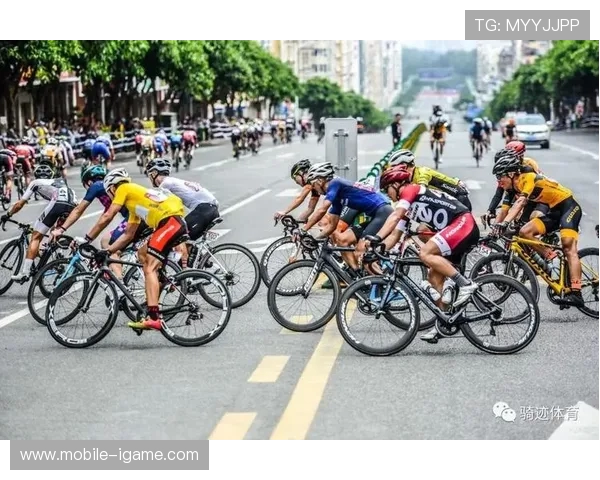 镇江战队携手全城力量共铸辉煌开启新征程助力城市体育梦想