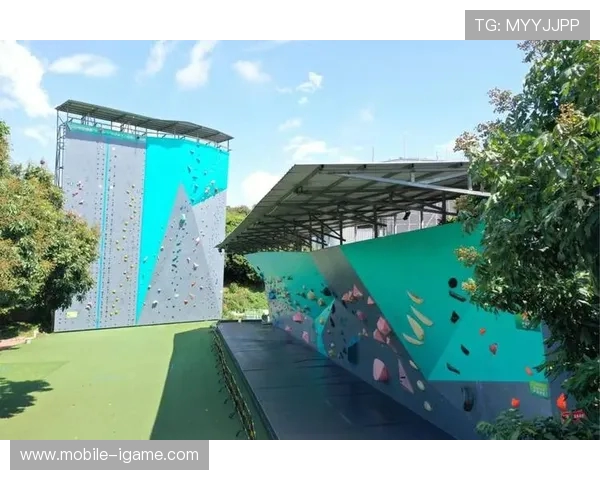 深圳攀岩队如何通过阵地战革新提升竞技水平与团队凝聚力 深圳攀岩队如何通过阵地战革新提升竞技水平与团队凝聚力