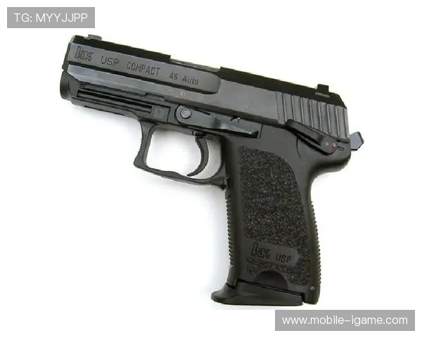 飞盘战术解析上海飞盘队的包夹体系与战术创新探讨