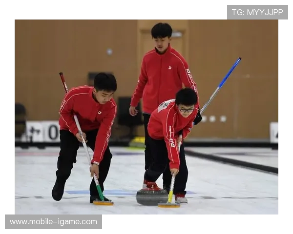 2016年冰壶锦标赛俄罗斯队精彩对决回顾与分析