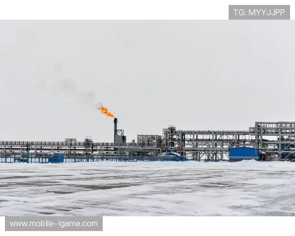 亚马尔地区的能源战略与全球气候变化的互动关系研究 亚马尔地区的能源战略与全球气候变化的互动关系研究