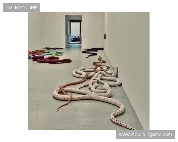 加莱诺的艺术世界探索与文化传承之旅